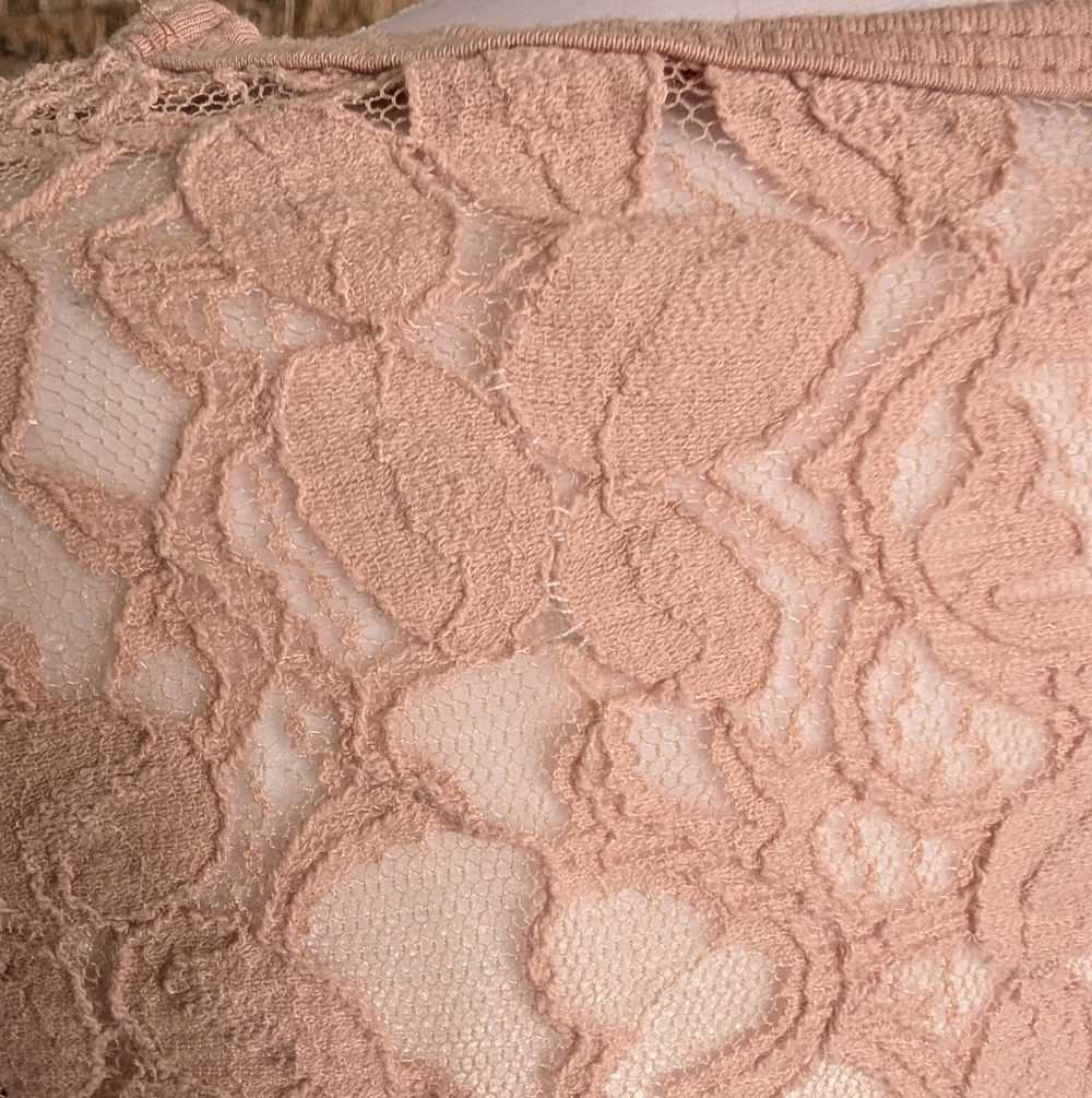 Lace Feminine Blush Pink Sheer Crop Top Coquette Fairy Romantic Kawaii Sz Small - Picture 14 of 14